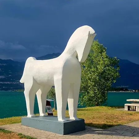 E Monti *
